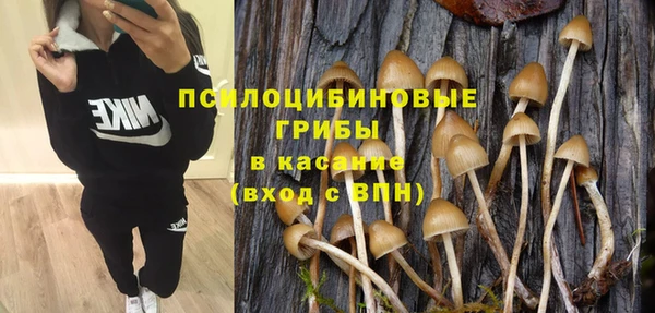 синтетический гашиш Медвежьегорск