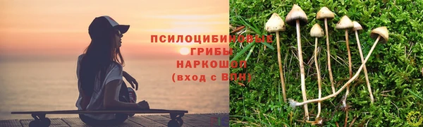 mix Мегион